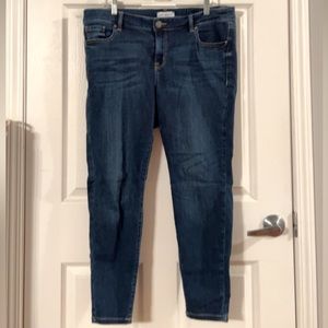 Lane Bryant Signature Fit Skinnies